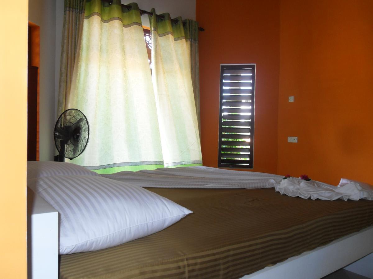 Bee Nest Bed & Breakfast Negombo Dış mekan fotoğraf