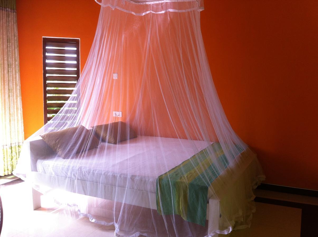Bee Nest Bed & Breakfast Negombo Dış mekan fotoğraf