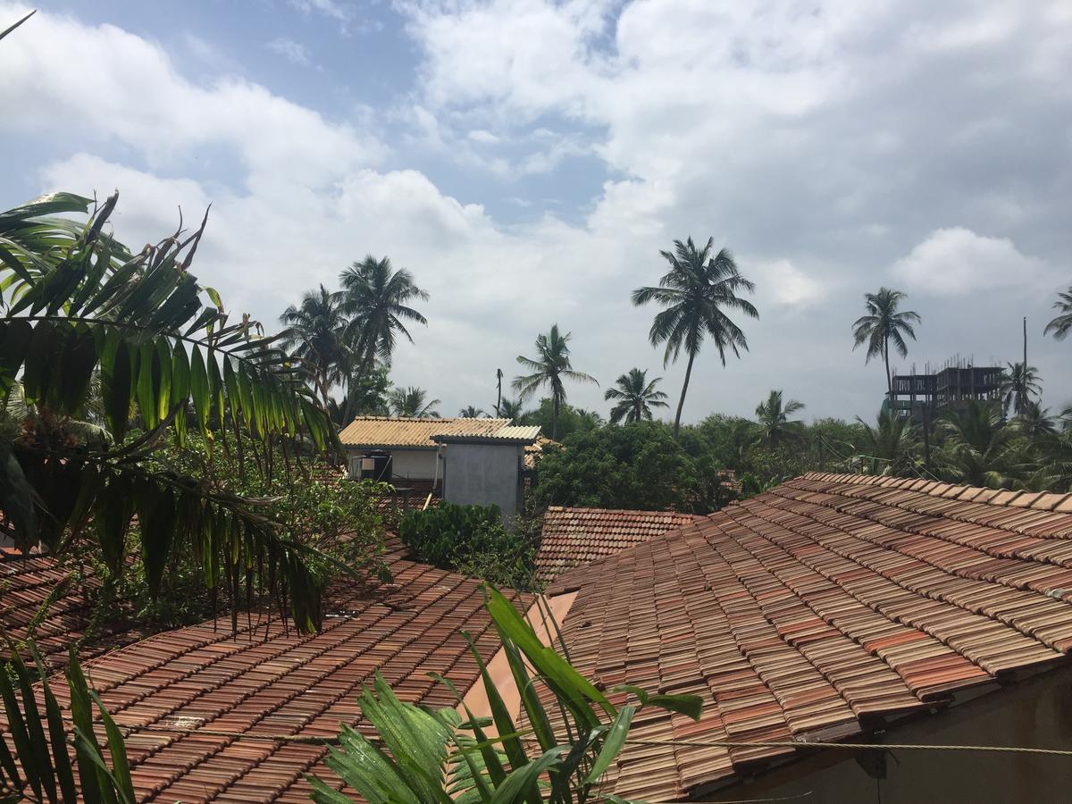 Bee Nest Bed & Breakfast Negombo Dış mekan fotoğraf